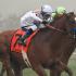 Justify X 2 in the Mud